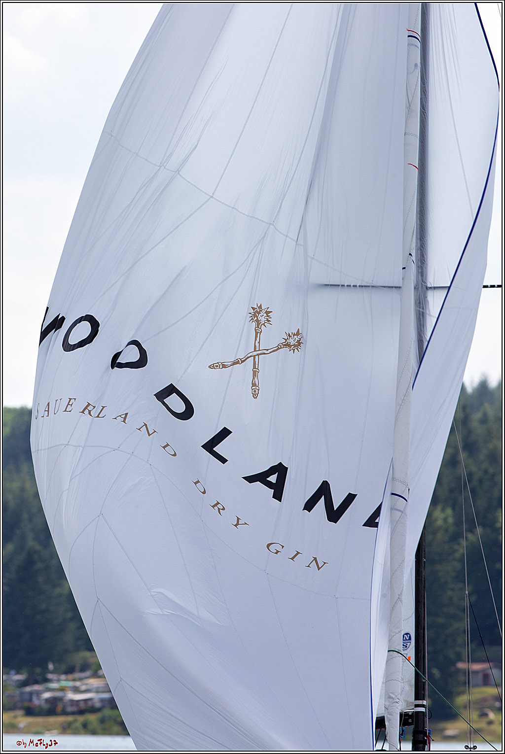 J70 - WOODLAND, 12.06.2021 Segelboot; Segeln; Woodland; Spinnaker; J70; Sorpesee; Sauerland